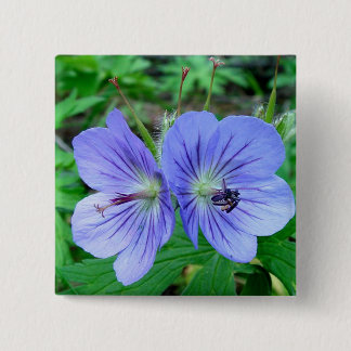 Wilde Pelargonie Button