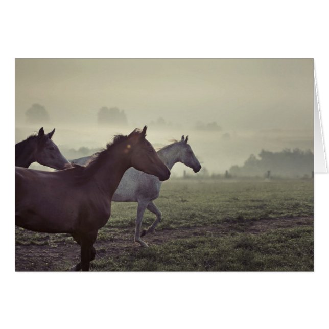 Wilde Pferde (Vorderseite (Horizontal))