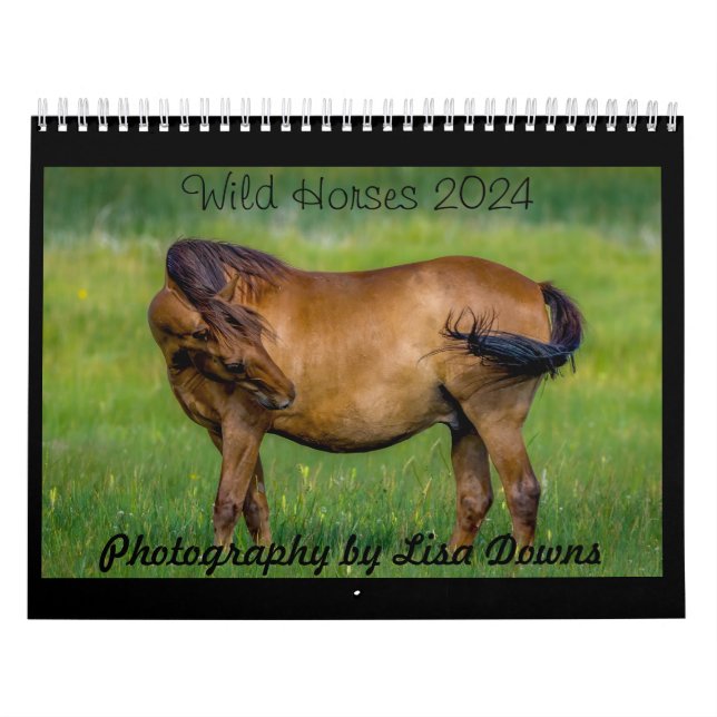 Wilde Pferde 2024 Kalender (Titelbild)