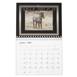 Wilde Pferde aus dem Sandwaschbecken, Colorado Kalender