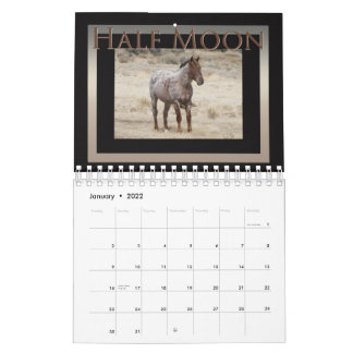 Wilde Pferde aus dem Sandwaschbecken, Colorado Kalender