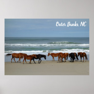Wilde Pferde Außenbanks OBX Corolla NC Poster