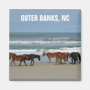 Wilde Pferde Außenbanks OBX North Carolina Magnet