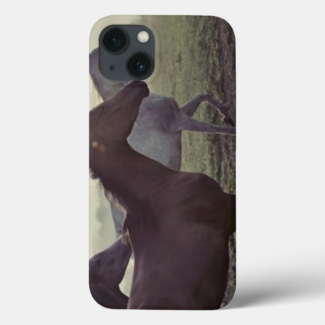 Wilde Pferde Case-Mate iPhone Hülle (Rückseite)
