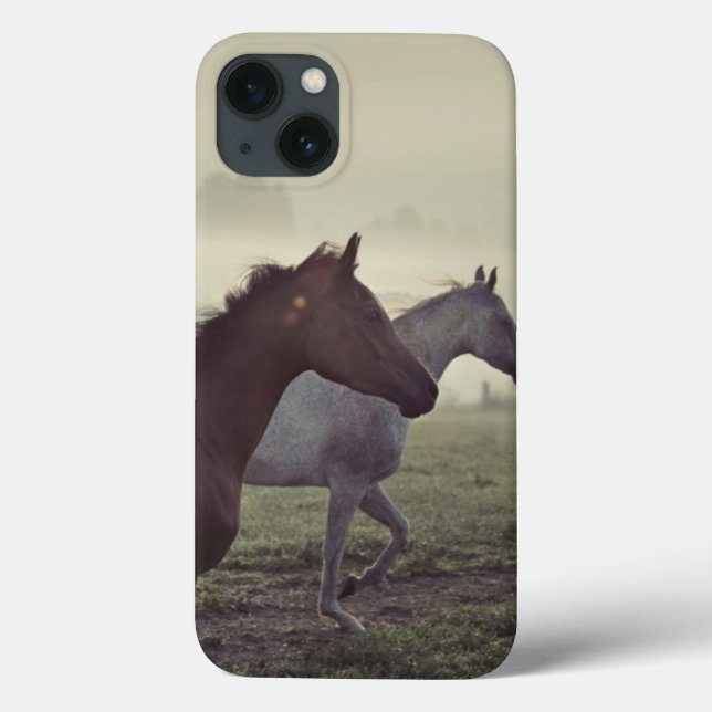 Wilde Pferde Case-Mate iPhone Hülle (Rückseite)