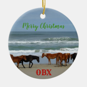 Wilde Pferde Corolla Äußere Banken OBX Keramik Ornament