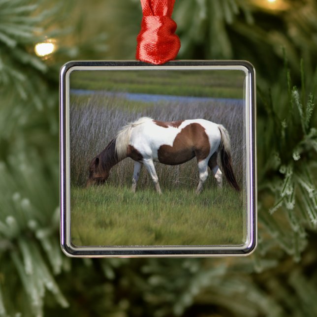 Wilde Pferde der Assateague Keramik Ornament (Baum)