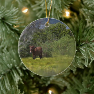 Wilde Pferde der Assateague Keramik Ornament