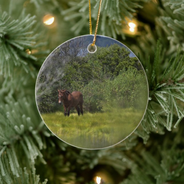 Wilde Pferde der Assateague Keramik Ornament (Baum)