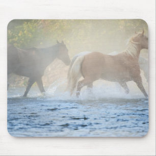 Wilde Pferde, die durch Wasser laufen Mousepad