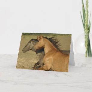 Wilde Pferde, die zur Freiheit zurückgehen Karte