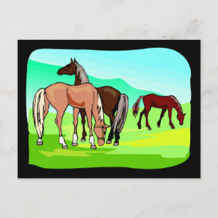 Wilde Pferde essen Graswiesen Feldwiesen Postkarte