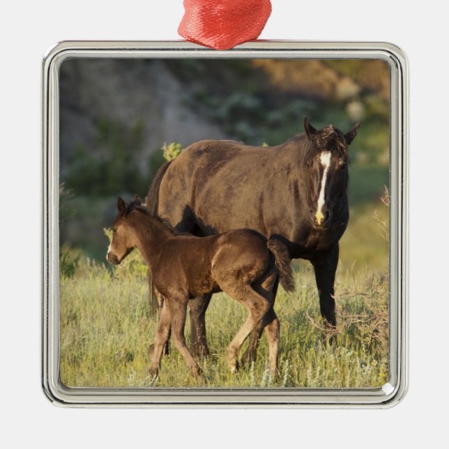 Wilde Pferde im Nationalpark Theodore Roosevelt Ornament Aus Metall (Vorne)