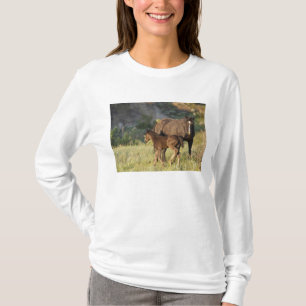 Wilde Pferde im Theodore-Roosevelt-Nationalpark T-Shirt