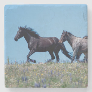 Wilde Pferde in Lupine Steinuntersetzer