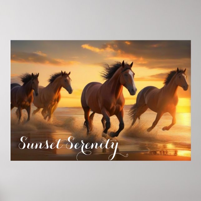 Wilde Pferde in Sunset Splendor Poster (Vorne)