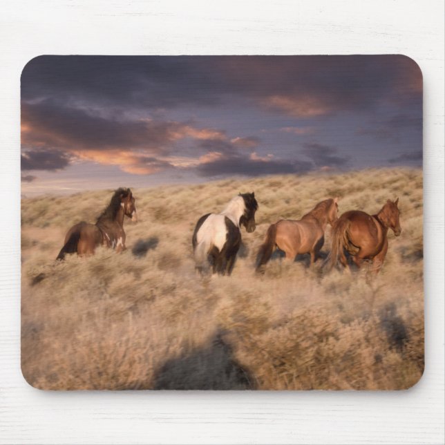Wilde Pferde laufen Mousepad (Vorne)