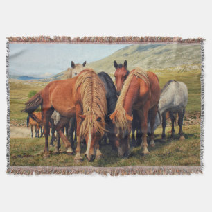 Wilde Pferde Livno Naturlandschaft Decke