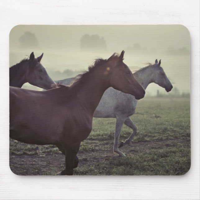 Wilde Pferde Mousepad (Vorne)