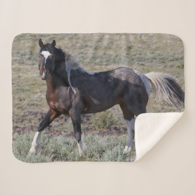 Wilde Pferde nach einem Staubbad Sherpadecke (Vorderseite (Horizontal))