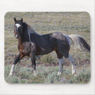 Wilde Pferde nach einem Staubbade Mousepad