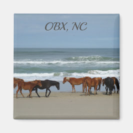 Wilde Pferde OBX NC Magnet