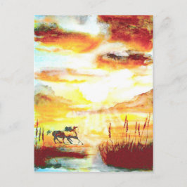 Wilde Pferde. Postkarte