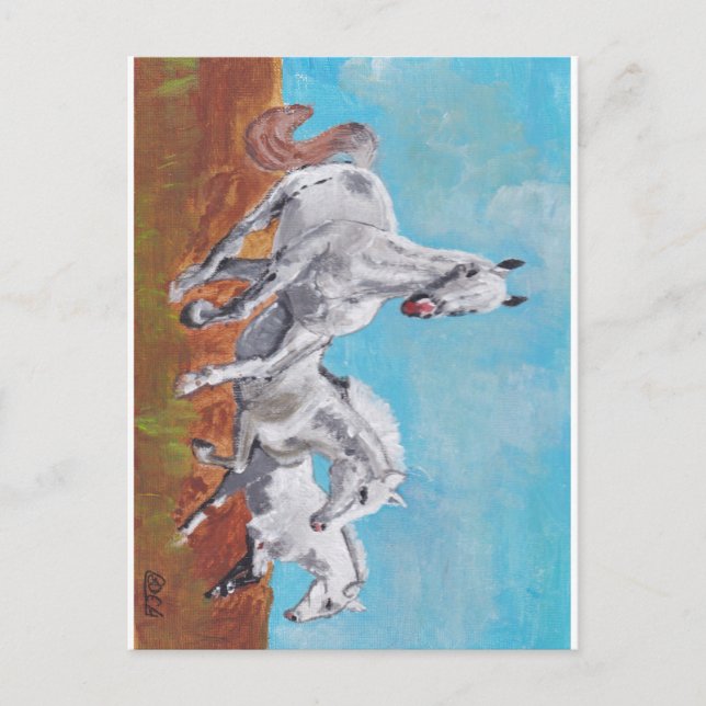 Wilde Pferde Postkarte (Vorderseite)