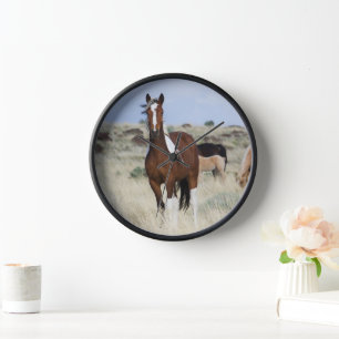 Wilde Pferde, Steengebirge Uhr