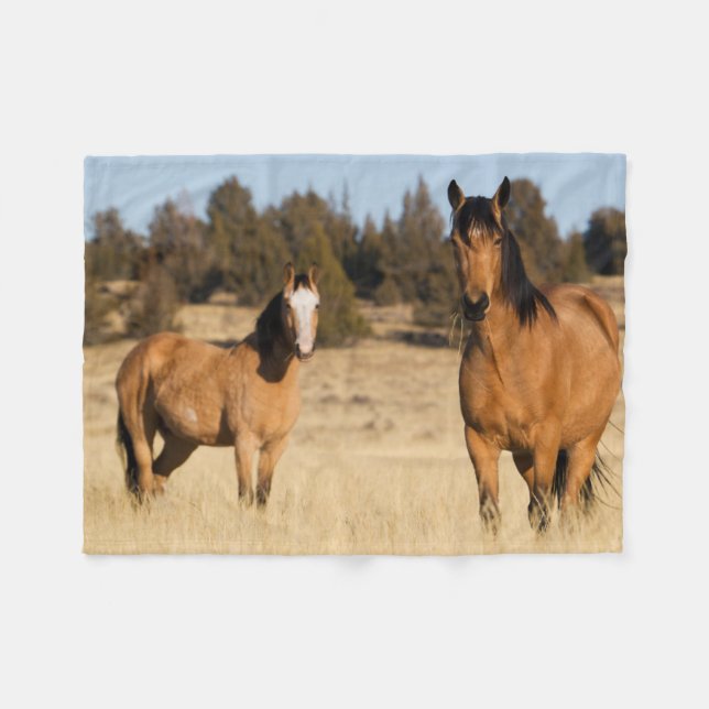 Wilde Pferde, Steens Mountains Fleecedecke (Vorderseite (Horizontal))