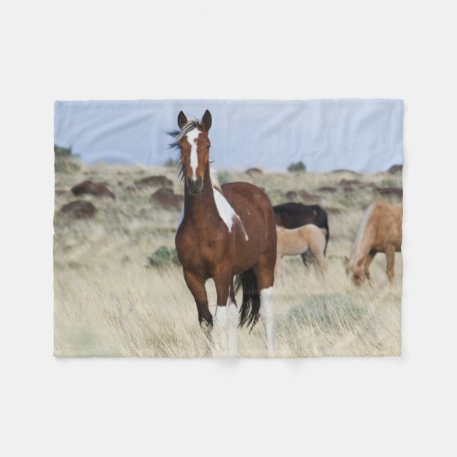 Wilde Pferde, Steens Mountains Fleecedecke (Vorderseite (Horizontal))