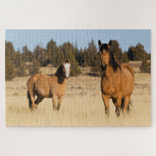 Wilde Pferde, Steens Mountains Puzzle