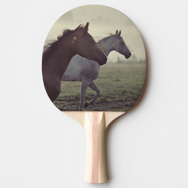 Wilde Pferde Tischtennis Schläger (Vorderseite)
