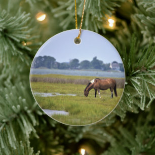 Wilde Pferde von Assateague Keramik-Ornament Keramik Ornament