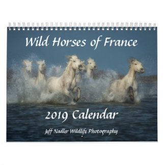 Wilde Pferde von Frankreich - 2019 Wandkalender