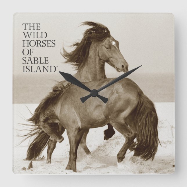 Wilde Pferde von Sable Island Clock Quadratische Wanduhr (Vorderseite)