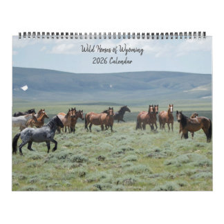 Wilde Pferde von Wyoming Kalender