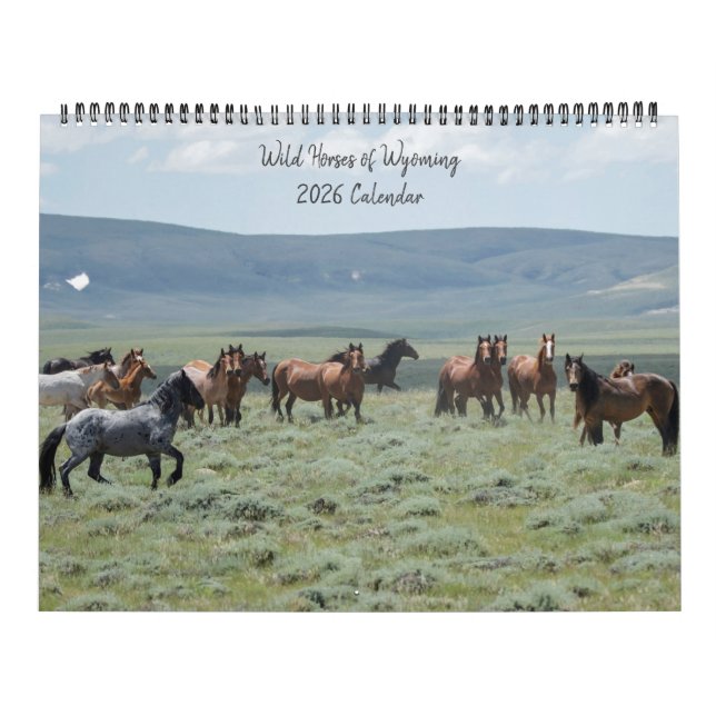 Wilde Pferde von Wyoming Kalender (Titelbild)