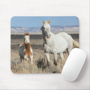 Wilde Pferde zu Hause im Sandwash Basin Mousepad