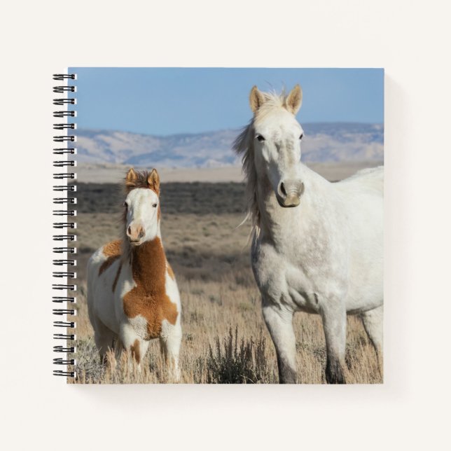 Wilde Pferde zu Hause im Sandwash Basin Notizbuch (Vorderseite)