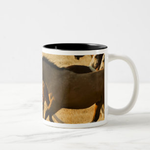 Wilde Pferde Zweifarbige Tasse