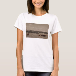 Wilde PferdeT - Shirt