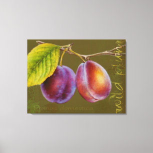 Wilde Pflaume - Prunus domestica Leinwand art (oli