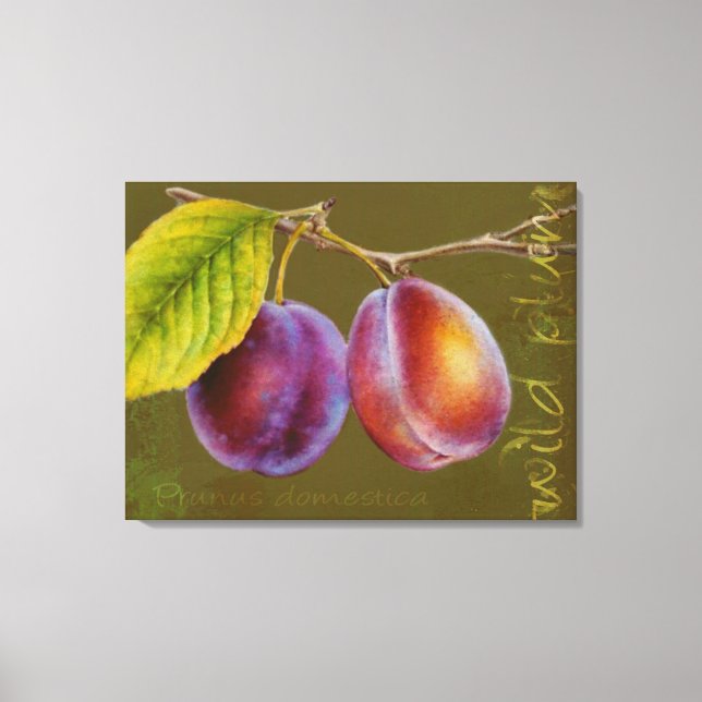 Wilde Pflaume - Prunus domestica Leinwand art (oli (Vorderseite)