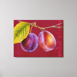 Wilde Pflaume - Prunus domestica Leinwand art (rei