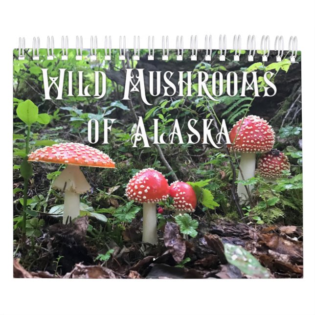Wilde Pilze aus Alaska - kleiner Kalender (Titelbild)