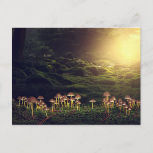 Wilde Pilze im Wald Postkarte