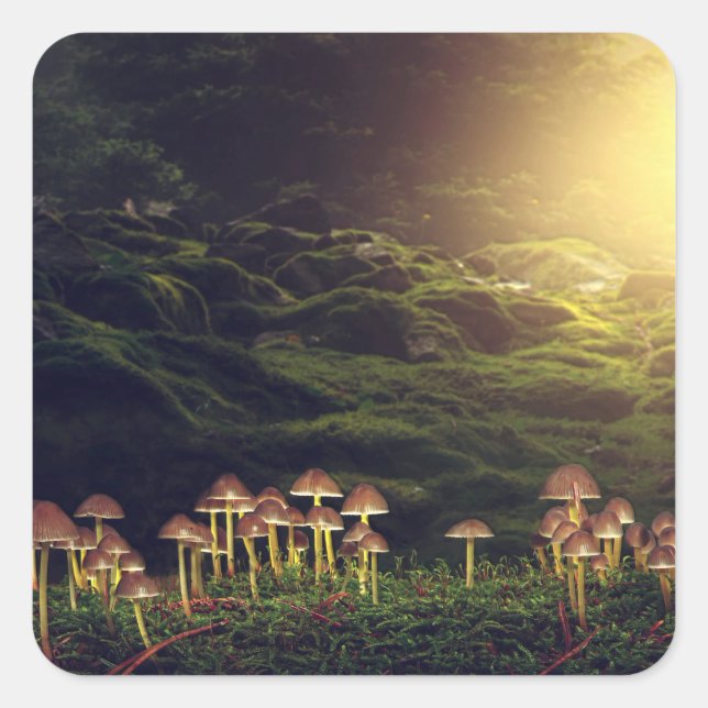 Wilde Pilze im Wald Quadratischer Aufkleber (Vorderseite)