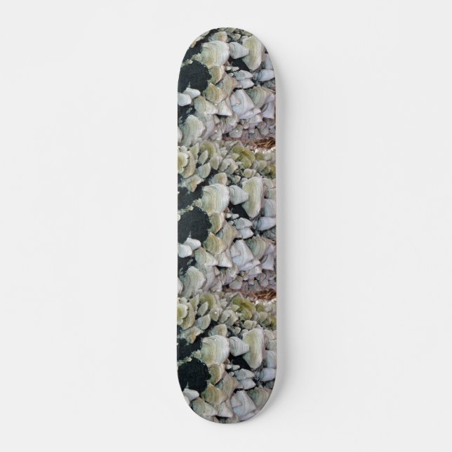 Wilde Pilze Skateboard (Vorne)