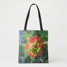 Wilde Poinsettia auf einer voll bedruckten Totbeut